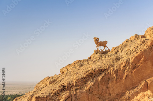 Statue of goat in mountain oasis Chebika