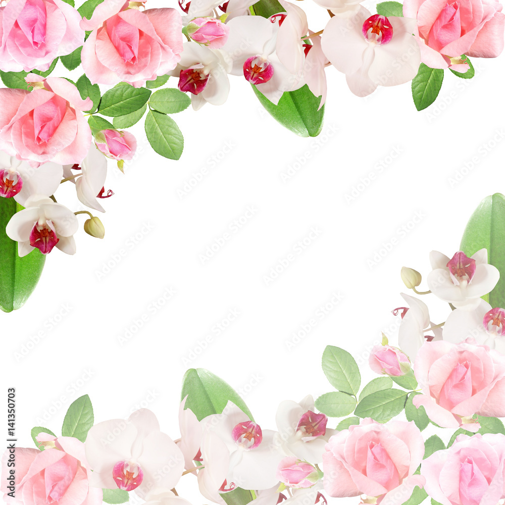 Beautiful floral pattern of pink roses and white orchids 
