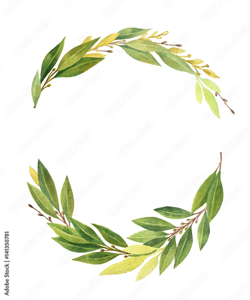 Watercolor Bay leaf wreath isolated on white background. Watercolor Bay leaf wreath isolated on white background.