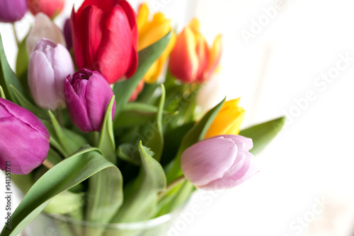 Fototapeta Naklejka Na Ścianę i Meble -  Beautiful colored tulips in spring