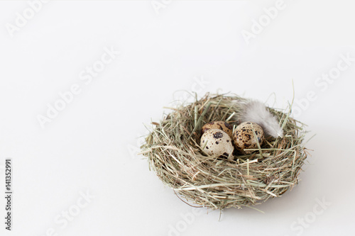 Easter decoration quail eggs lie in a bird's nest on a white background with space for text, daylight, horizontal image, minimalism