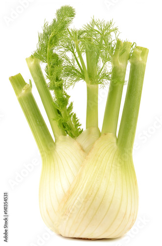 fennel on a white background