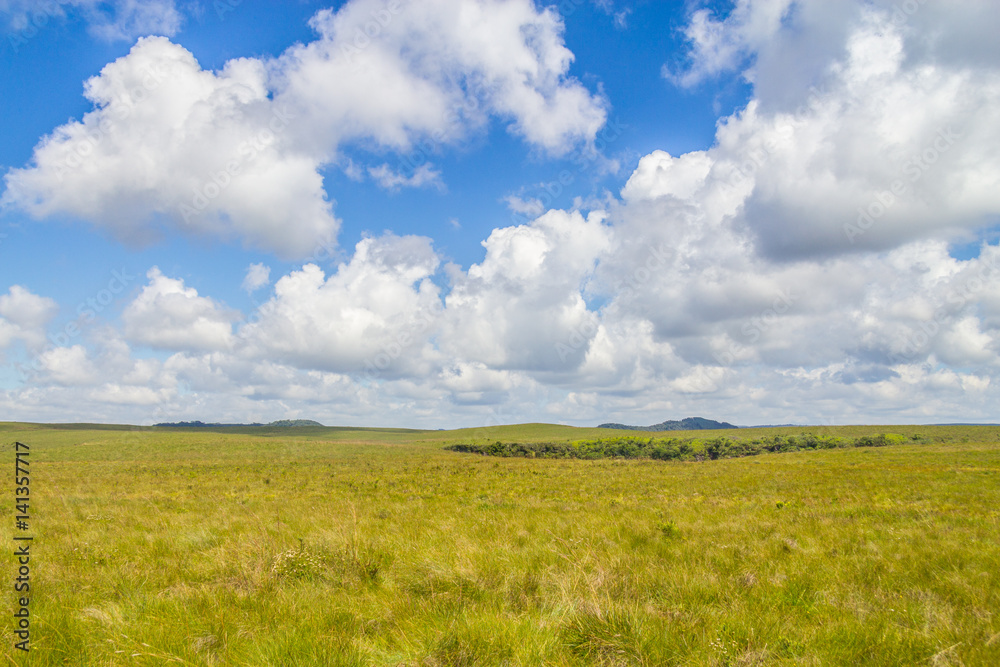 Field at Fortaleza Canyon