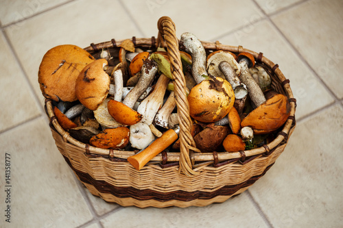 Wicker Basket With Edible Mushrooms Boletus (Leccinum versipelle). Healthy and delicates food.