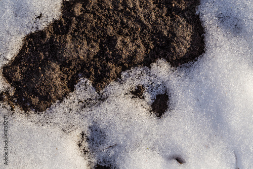 spring thawed patches, earth from under the snow © alias612