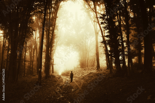 Man in fantasy forest walking on road at sunset. Surreal autumn woods landscape