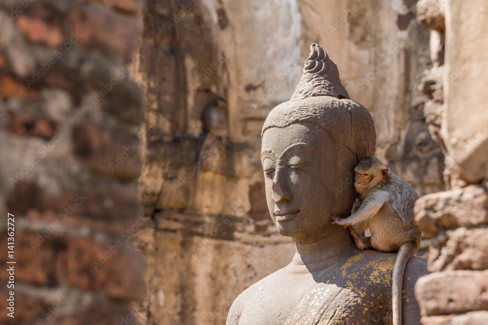 Buddha image with monkey in the ruined ancient.