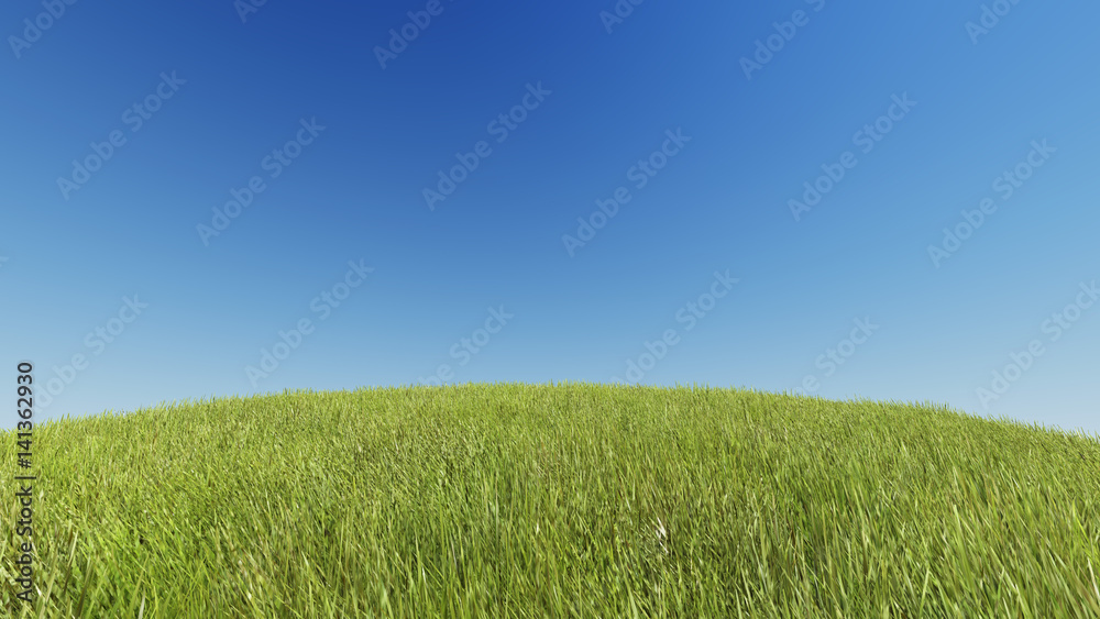 Realistic grassy hill on a background of pure blue sky 3D rendering