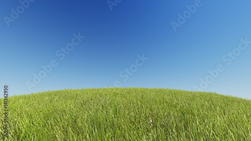 Realistic grassy hill on a background of pure blue sky 3D rendering
