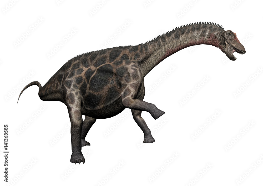 Obraz premium 3D Rendering Dinosaur Dicraeosaurus on White