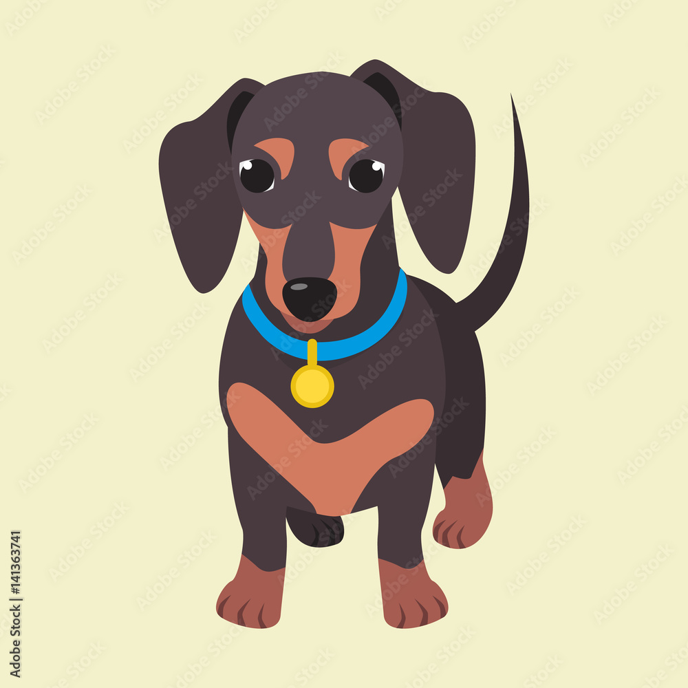 Cute domestic dog dachshund breed on the white background. Vector illustration Cute domestic dog dachshund breed on the white background. Vector illustration