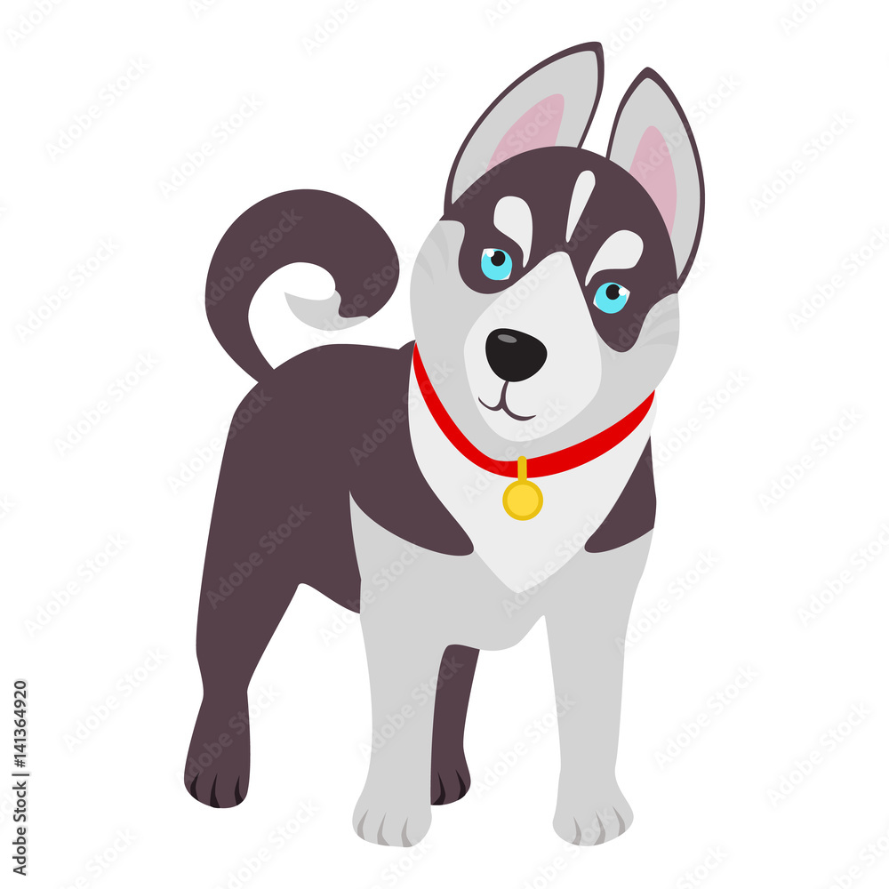 Domestic Siberian husky breed on the white background. Vector illustration Domestic Siberian husky breed on the white background. Vector illustration