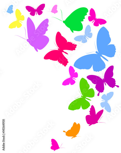 beautiful color butterflies,set, isolated on a white