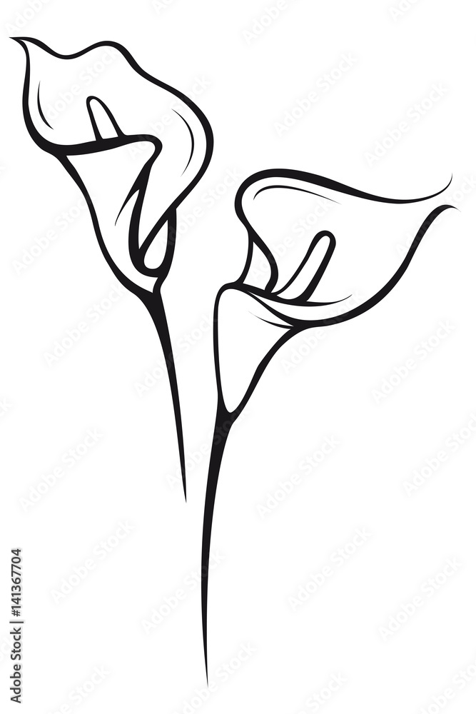 Beautiful lilies walltattoo