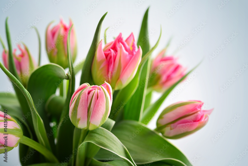 Pink tulips bouquet