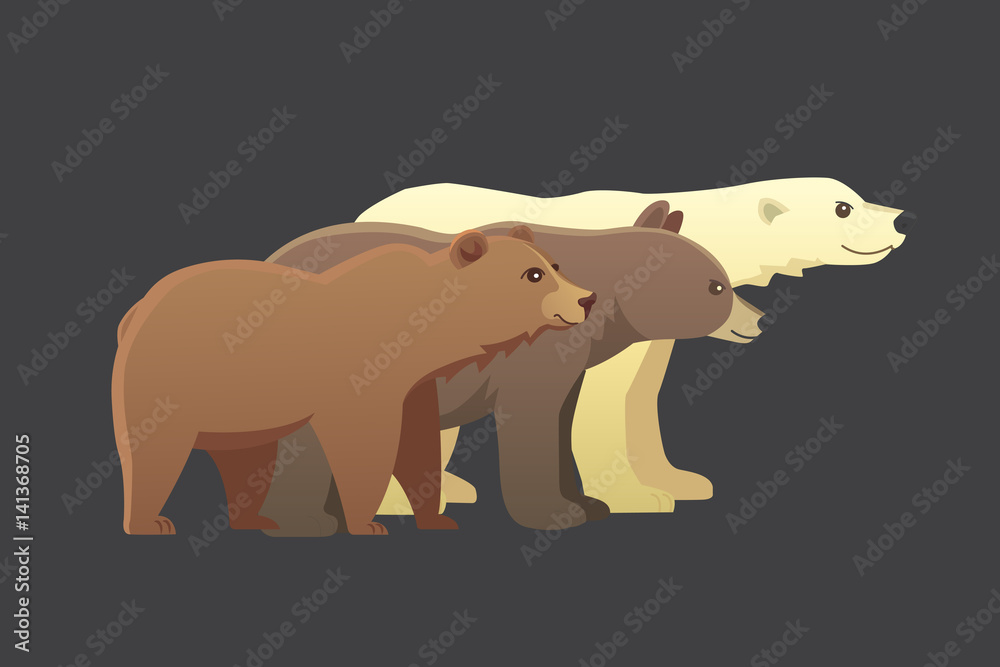 Fototapeta premium Collection with different cartoon bears isolated on dark background. Vector broun and black american bear. Set Wildlife or zoo grizzly. panda.