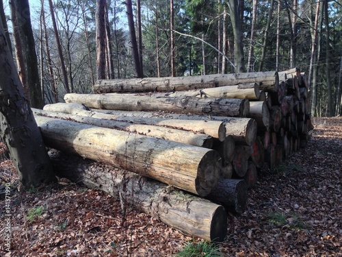 Holzstapel