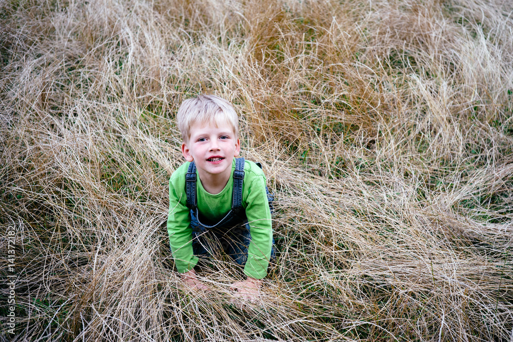 Blonde beautiful little boy playfully indulge on the grass in summer time. Blonde beautiful little boy playfully indulge on the grass in summer time.
