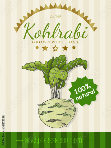 Vector poster with a kohlrabi in a sketch style