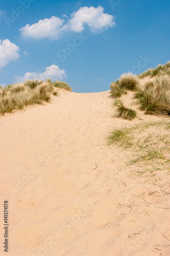Fototapeta Naklejka Na Ścianę i Meble -  Steep sand dunes on a sunny day against a blue sky with light cloud