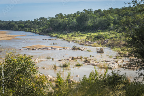 elephant river in kruger national park