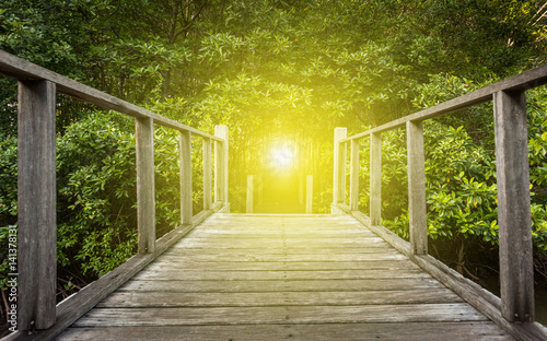 wood pathway with sun light in mangrove forest