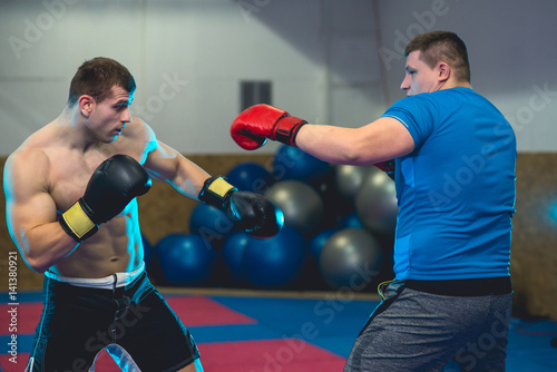 Two Boxers sparring © ildintorlak