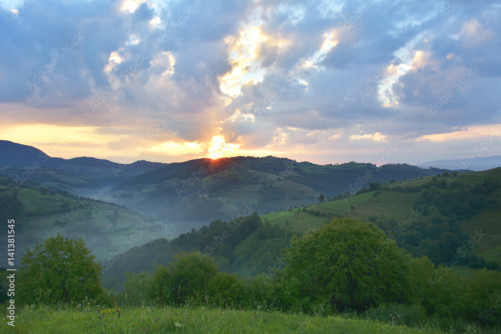 Fototapeta premium Beautiful alpine meadow with green grass. sunrise. landscape on wild transylvania hills. Holbav. Romania.
