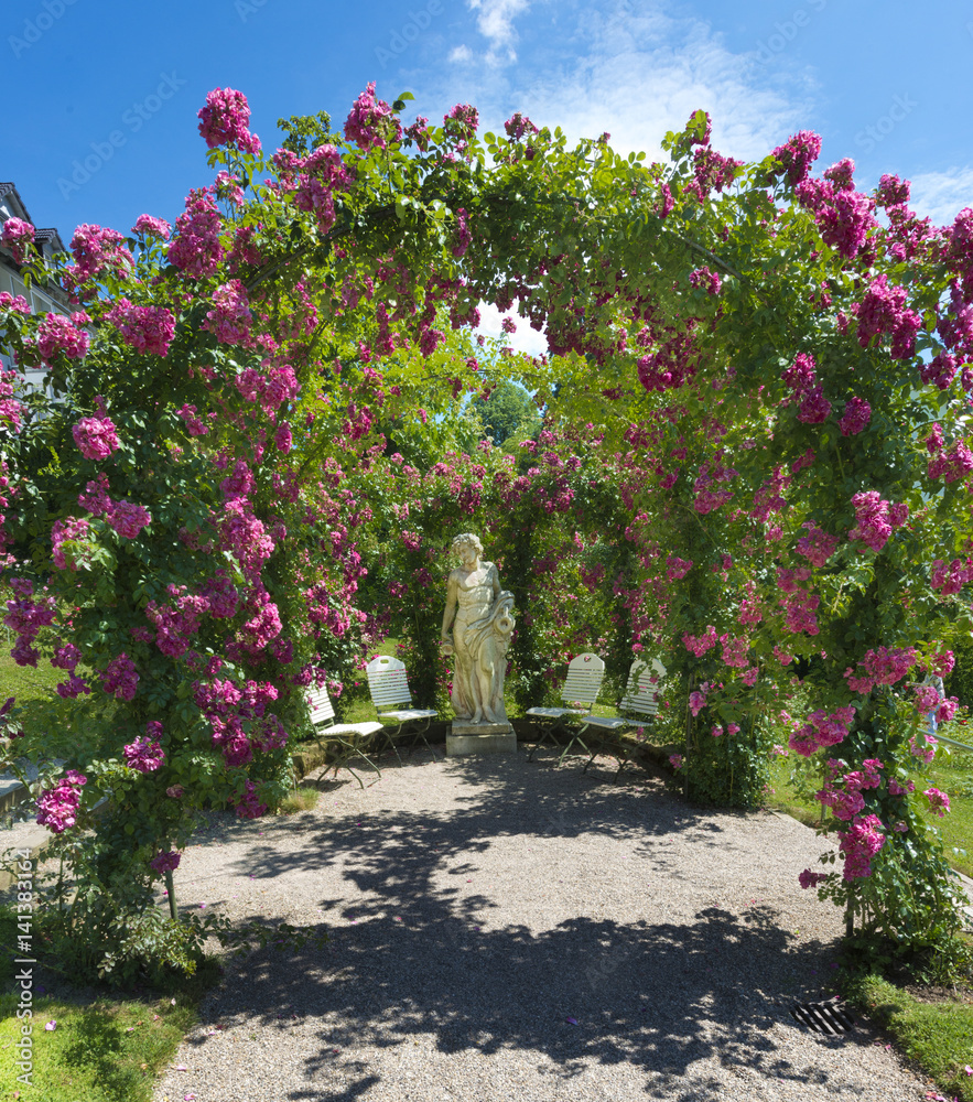 Rose arches in the Rose Garden at the Beutig, Blackforest, Baden-Baden, Baden-Württemberg, Germany, Europe