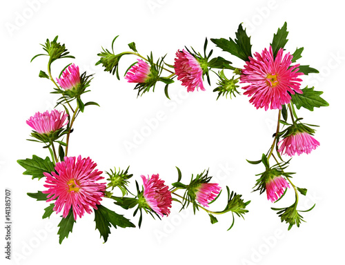Decorative frame of pink aster flowers and buds