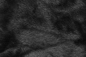 Black fur texture