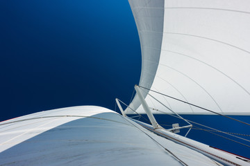 Fotobehang Zeilen Catamaran zeilt over kalme zee  © _italo_
