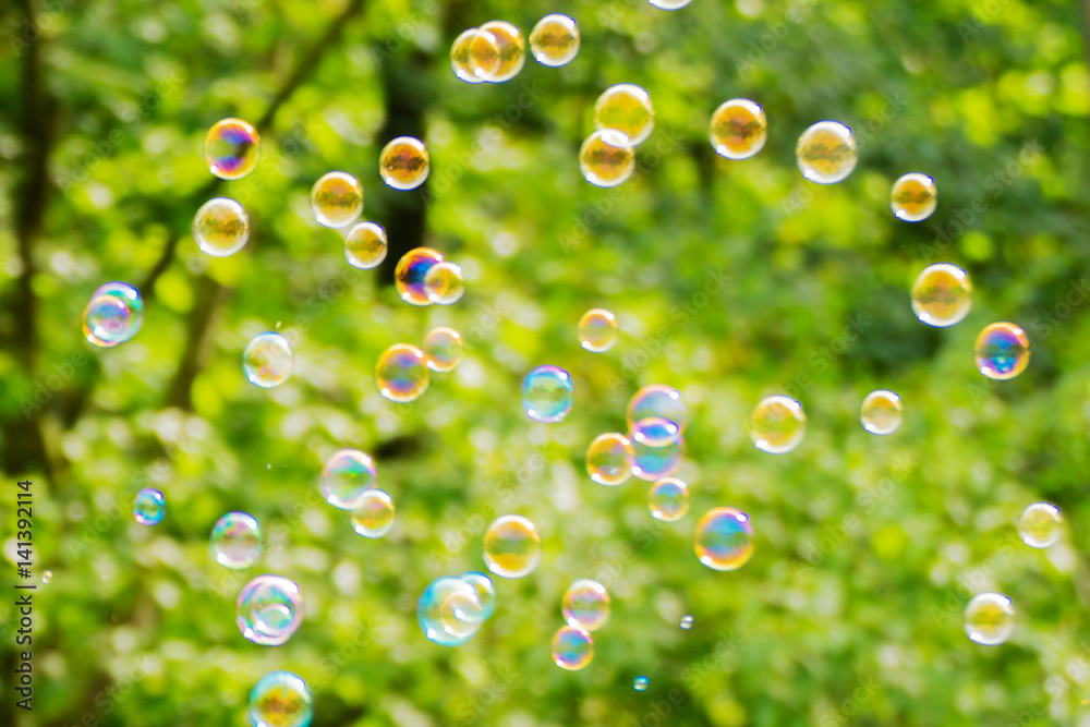 Abstract background. Soap bubbles on the blur nature