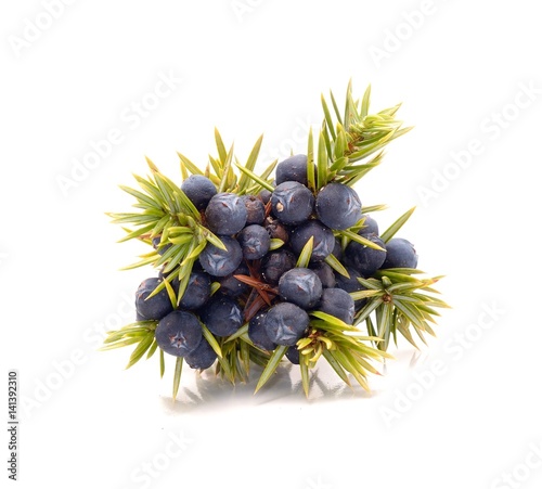  Juniper berries isolated on white background