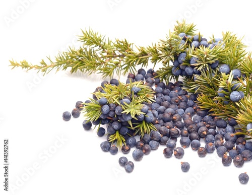 Juniper berries isolated on white background