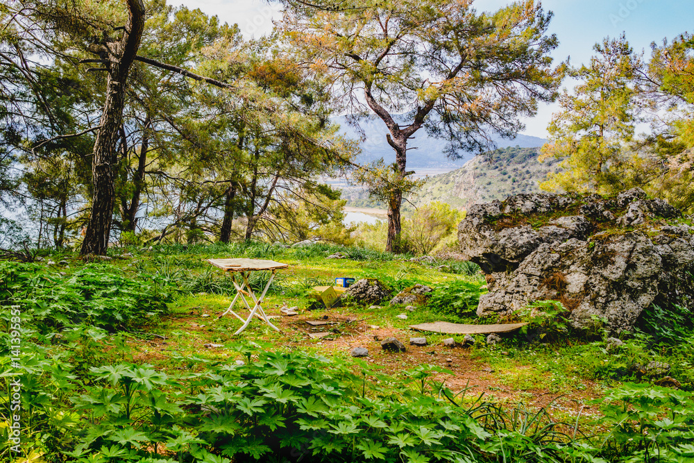 Fototapeta premium rural landscape turkey pastoral
