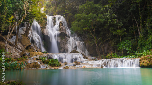 Fototapeta Naklejka Na Ścianę i Meble -  Tat Kuang Si waterfall or Kouangxi at Luang Prabang, Laos