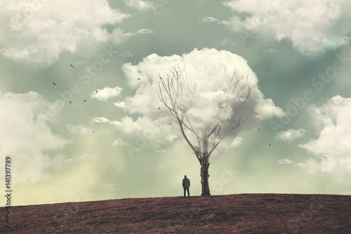 Foto clouds over the tree