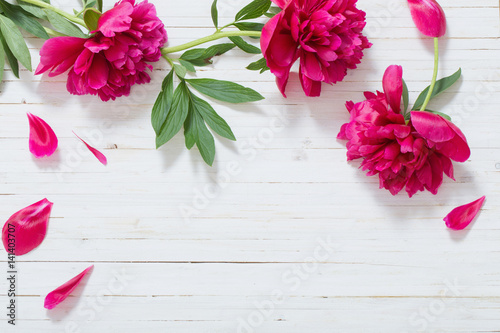 peonies on white wooden background