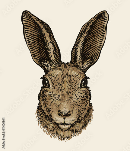 Easter bunny. Portrait of hare, sketch. Vintage vector illustration