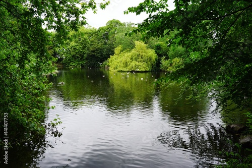 Park in Dublin