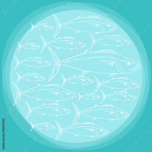 Vector school of tuna fish hand drawn illustration. Ink outlines sketch with marine animal swimming in the ocean, circle shape design