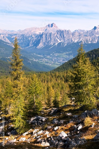 Larch forest, Cortina d Ampezzo and Croda Rosa