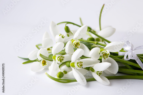 Snowdrops bouquet on white background