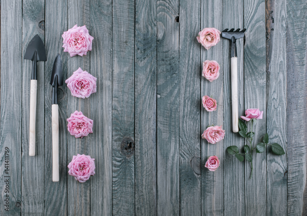 Fototapeta premium Gardening concept with tools and roses
