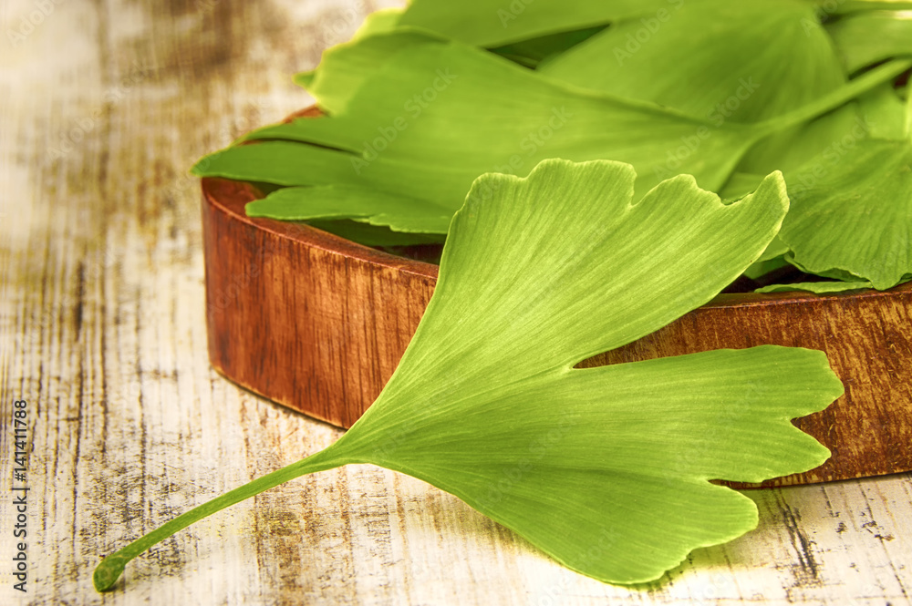 Φωτογραφία Collected medicinal leaves of the Ginkgo biloba tree in a bowl on the table wood