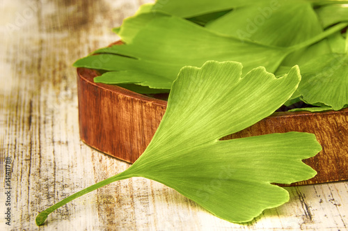 Collected medicinal leaves of the Ginkgo biloba tree in a bowl on the table wooden
