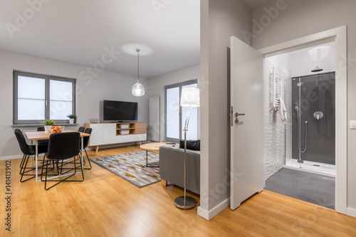New  modern flat
