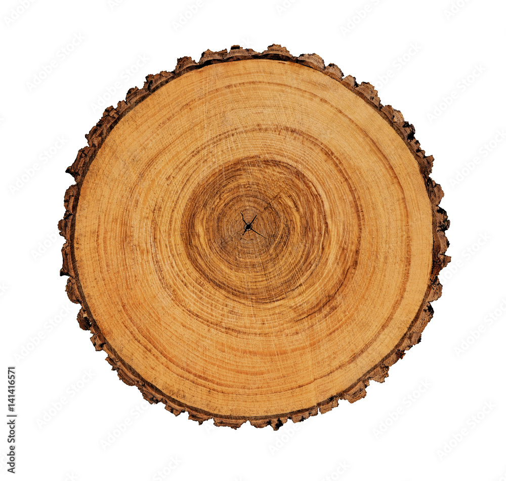 Khúc gỗ tròn: Hình ảnh khúc gỗ tròn mang tới sự tự nhiên và độc đáo. Các sản phẩm thủ công từ khúc gỗ tròn đều là sự kết hợp hoàn hảo của tài năng và sự sáng tạo. Hãy xem qua những hình ảnh đẹp mắt này để cảm nhận được sự mềm mại và đẹp tự nhiên của khúc gỗ tròn.