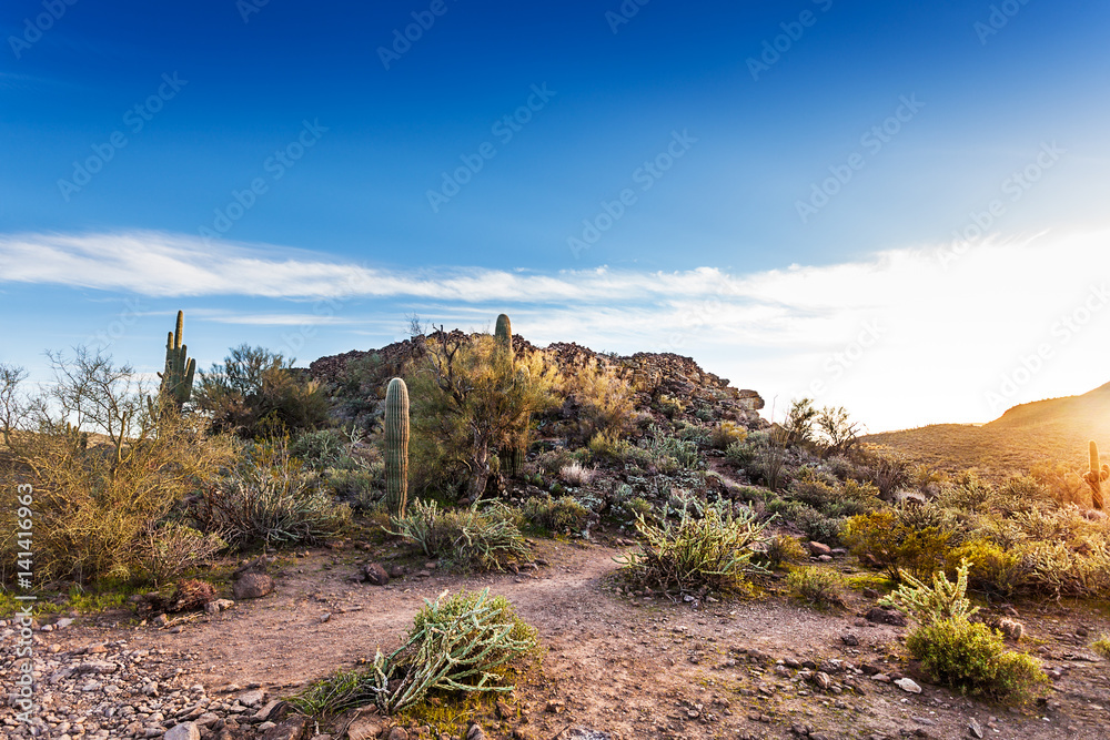Φωτογραφία Near off-road trails near Phoenix, Arizona are the remains of an Indian Fort